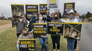 KZN North Coast Community Demands Justice for Opal
