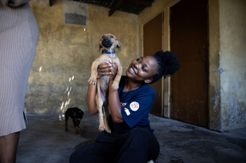 FOUR PAWS Calls on Communities to Celebrate World Animal Day 2025