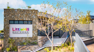 Dibber Expands in South Africa