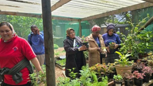 World Food Day: Growing Hope from the Ground Up