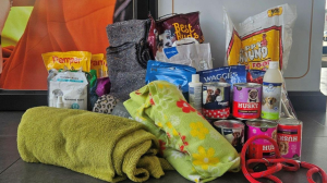 Hyprop Foundation's 'Warm Woodrock' Campaign Raises Over R24 000 for Animal Welfare