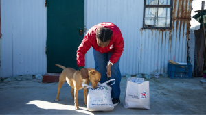 FOUR PAWS Asks Mzansi to Show Compassion for All Animals This World Kindness Day