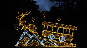 Trail of Lights is Back for the Ninth Year