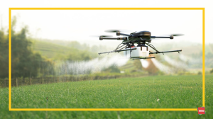 Crisis Communication in Public Health: PR Lessons from the Western Cape Pesticide Study