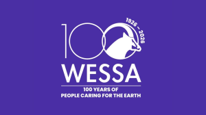 WESSA Strengthens Coastal Protection Through Public Education as <i>Blue Flag</i> Season Begins