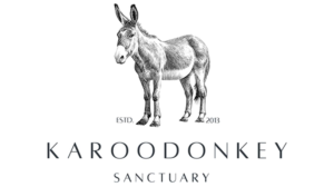 Karoo Donkey Sanctuary Survives Threat of Closure