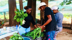 Local Princess Mama Provides Nutrition to Her Community