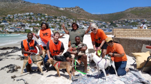 The Mdzananda Animal Clinic and Shelter Announces New Initiative for Homeless Dogs
