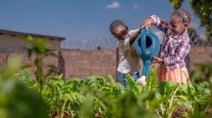 Investment in Women-Led ECD Programmes Delivers Measurable Development Impact