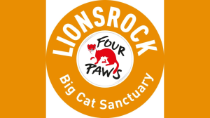 FOUR PAWS Announces Importance of Dental Health in Big Cat Wellbeing