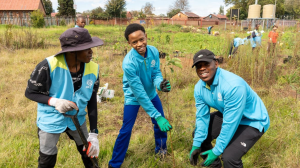 ASEZ Partners With Synergistic Covenant Network to Plant 100 Trees in Global Campaign