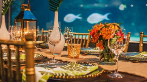 Mdzananda Animal Clinic and Shelter Announces Third Annual Gala Dinner and Auction