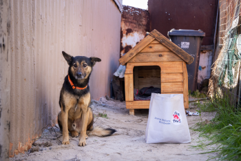 FOUR PAWS Announces '67 Kennels of Hope' Campaign