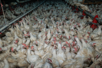 FOUR PAWS Warns of the Climate Crisis Dangers Caused by Factory Farming