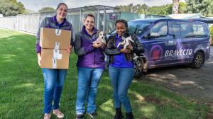 Bravecto® Sponsors R7-Million Worth of Tick and Flea Treatments to Shelter Dogs