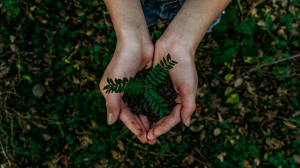 Can South Africa Trust Its ESG Data