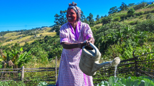 Home Gardens as a Lifeline in South Africa