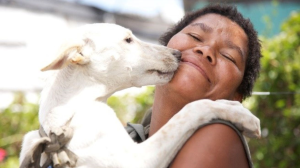 Animal Clinic and Shelter Celebrates 30 Years of Transforming Animal Welfare in Khayelitsha