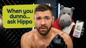 Hippo Refreshes Brand Identity and Releases New TVC