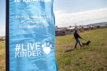 FOUR PAWS Urges a One Health Approach to Protection Against A Preventable Yet Deadly Disease