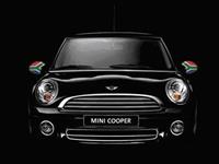 MINI will not support England this year
