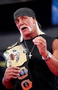 Hulk Hogan&#39;s celebrity championship wrestling 