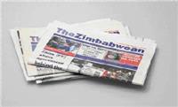 Behind <i>The Zimbabwean</i> Trillion Dollar campaign
