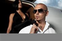 Pitbull arrives in South Africa