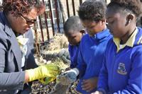 Muhammad Ali Center Peace Gardens Initiative chooses Diepsloot Combined School as first SA location