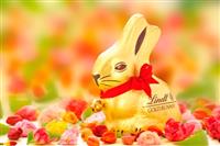 Lindt gold bunny comes to aid of endangered rabbit