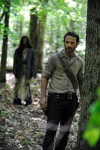 <i>The Walking Dead</i> to be broadcast on DStv