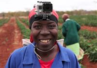 Latest Woolies TVC looks at the journey its food takes from farm to plate