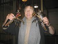 Second season of Raymond Blanc’s <i>Kitchen Secrets</i> to air on BBC Lifestyle this March