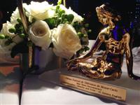Al Jazeera English honoured at <i>Monte Carlo Television Festival</i>