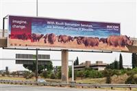 Ricoh SA advertising campaign imagines an Africa teeming with rhino