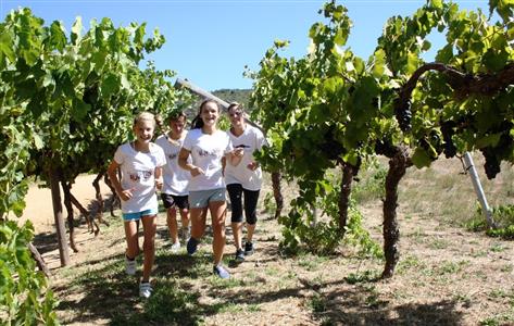 Run the vines at <i>Ommiberg</i> 2015