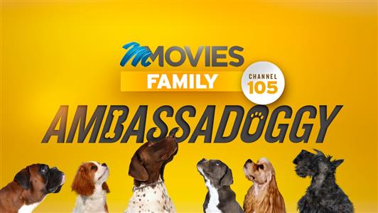 The search is on for the M-Net Movies Family Ambassadoggy