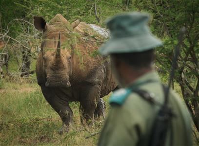 2015 <i>Rhino Conservation Awards</i> to honour rangers on the front-line