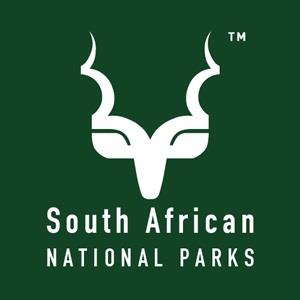 28 rhino poaching suspects arrested in Kruger National Park in April