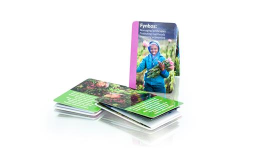 Flower Valley Conservation Trust chooses Z-CARD<sup>®</sup> to create awareness