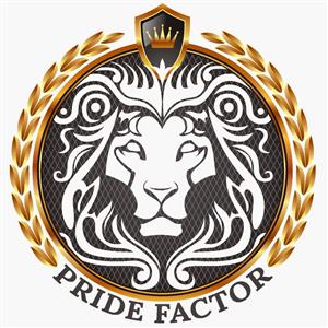 Pride Factor inspires hundreds of young adults in the Boland