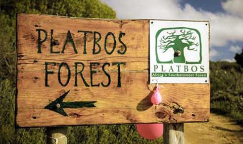 First Car Rental shows its support for the Platbos Forest Reserve Organisation