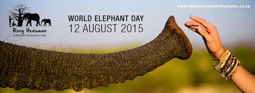 Adventures with Elephants to host underprivileged children
