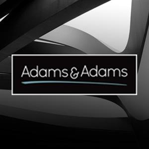 Adams & Adams Student Portfolio Day exposes SA's hottest talent