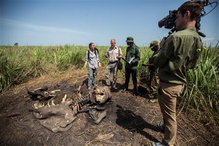 National Geographic takes an in-depth look at the effects of the global illegal ivory trade