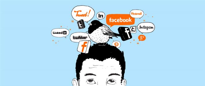 What is a head of social media?
