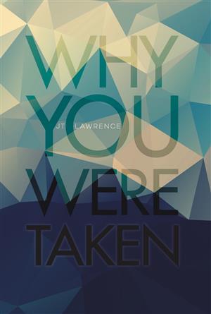 Book review: <i>Why You Were Taken</i>