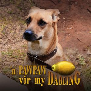 <i>’n Pawpaw Vir My Darling</i> earns more than a million at the box office