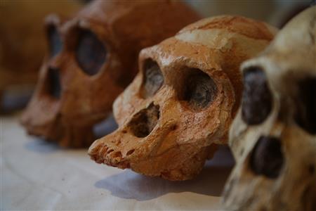 National Geographic brings you <i>Homo Naledi: Dawn of Humanity</i> 