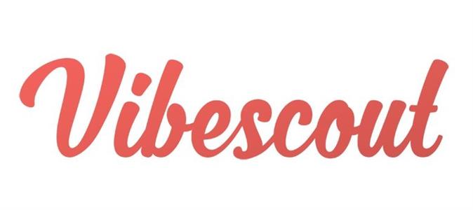 Getting to know <i>Vibescout</i>
